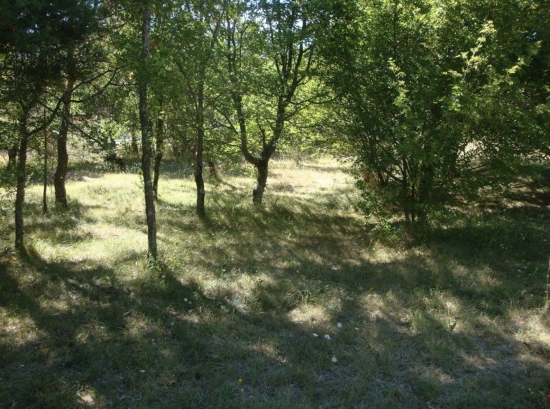 terrain de 1150 m² sur la commune de Plan d’Aups dans le Var, possibilité de construire jusqu’à 4 villas