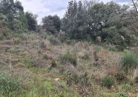 Notre zone d'activité pour ce service Artisan maçon à Martigues 13500 pour la construction d'une maison plain pied