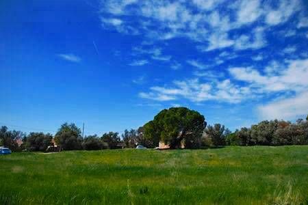 Notre zone d'activité pour ce service Artisan maçon à Marseille 13 pour la construction d'une maison plain pied