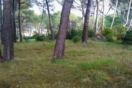 Nos prestations sur le secteur de à Martigues 13500